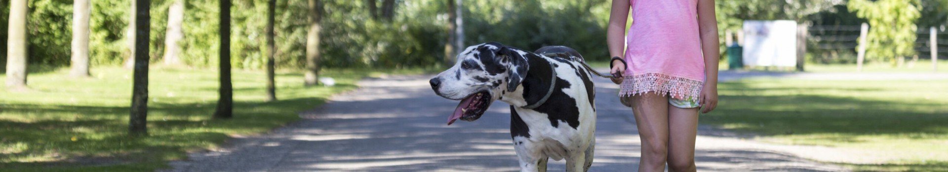 Vakantie met hond in Zeeland