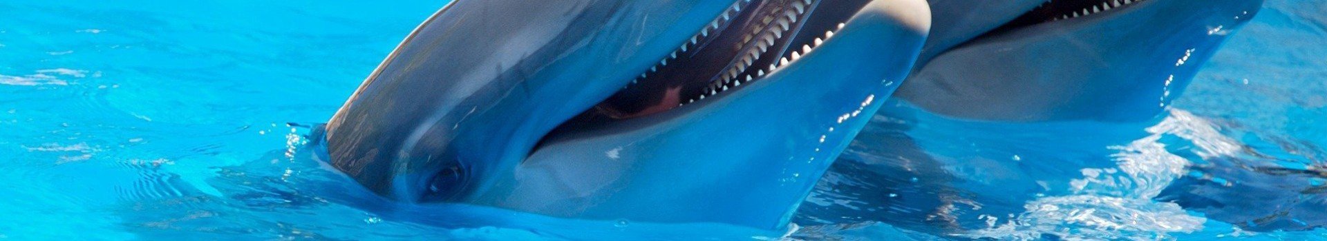 Leuke uitjes in Zeeland