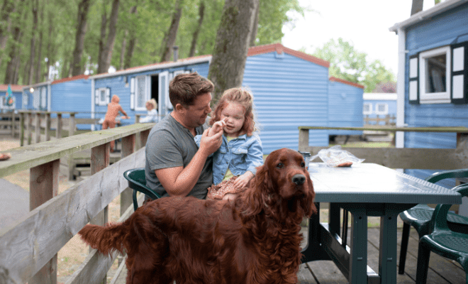 Camping mit Hund ist auch in einem Mobilheim möglich