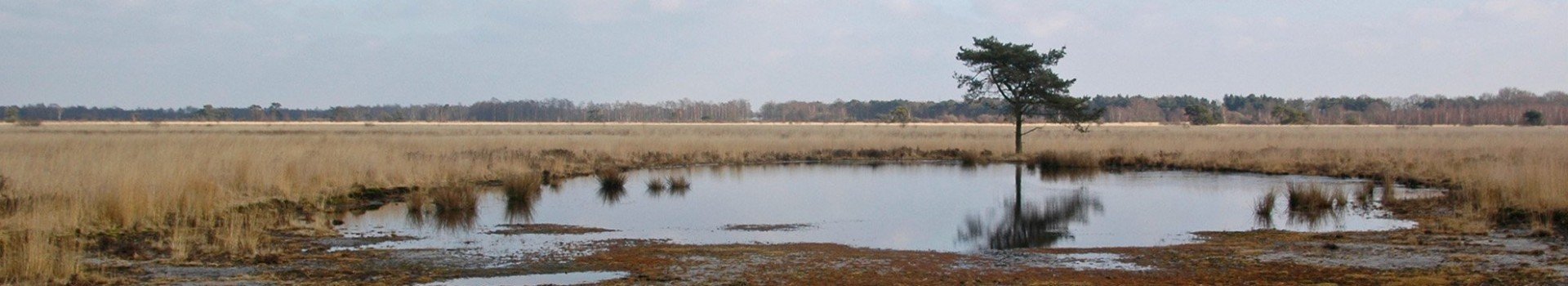 Vakantiepark dicht bij De Groote Peel
