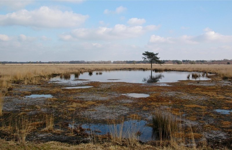 Ontdek Nationaal Park De Groote Peel