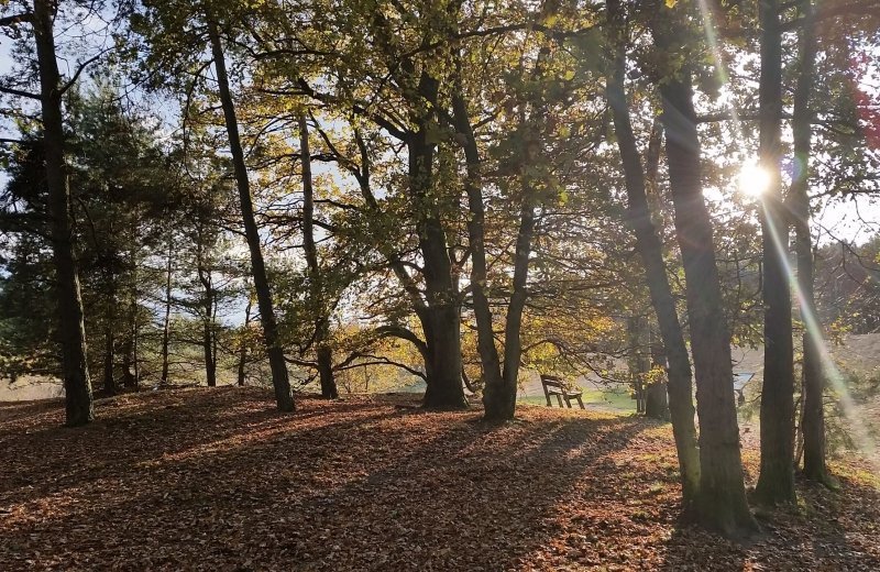 Vakantiepark met mooie omgeving