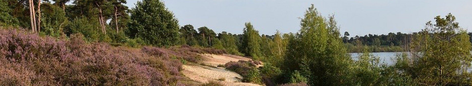 Ontdek Nationaal Park Maasduinen