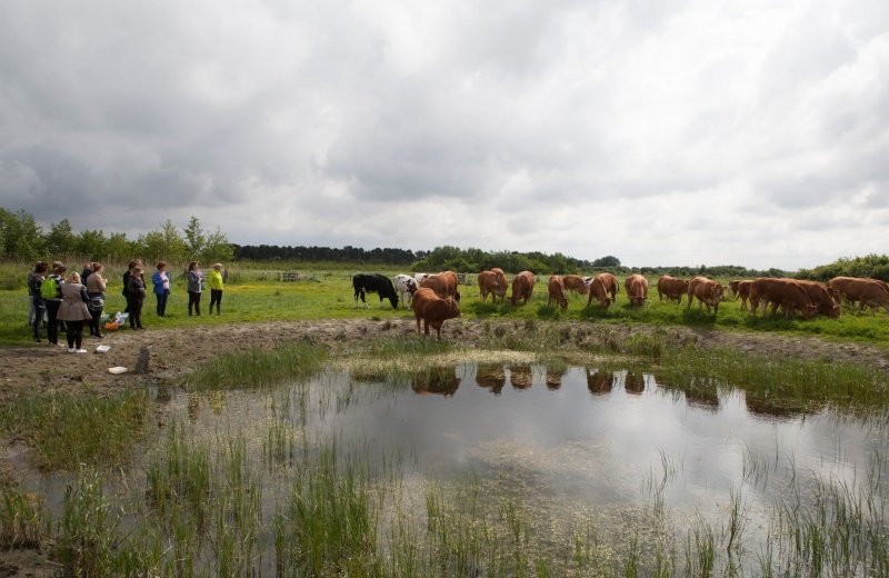Marinabeachdenatuurin