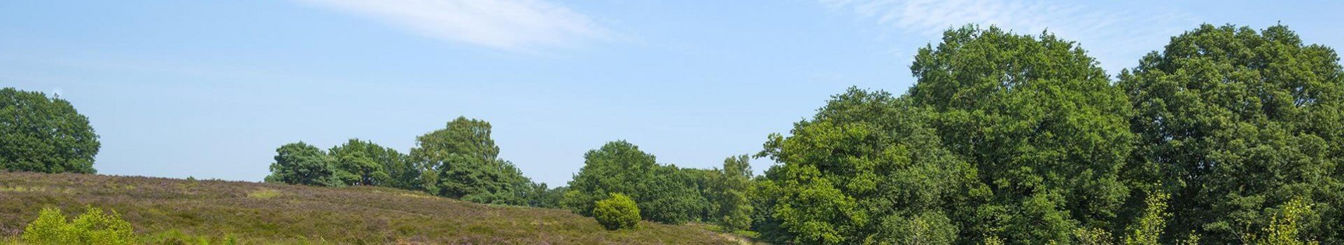 Ontdek Nationaal Park De Meinweg