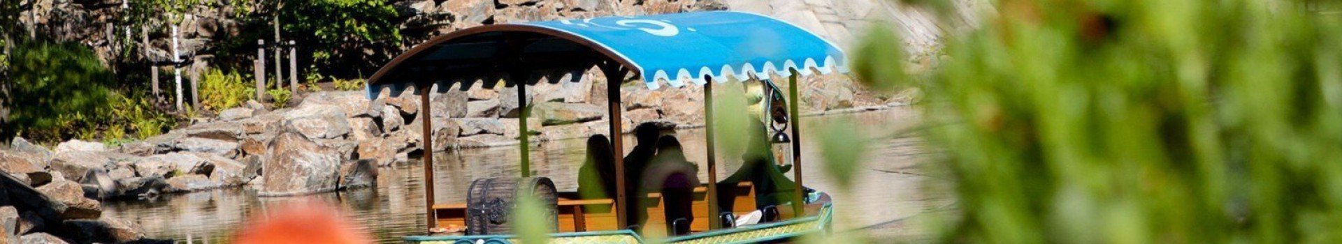 Vakantiepark dicht bij leuke uitjes