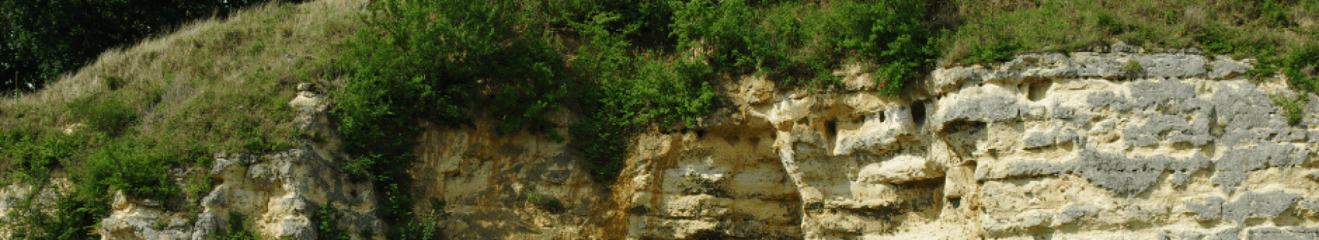 Ontwerp zonder titel 45