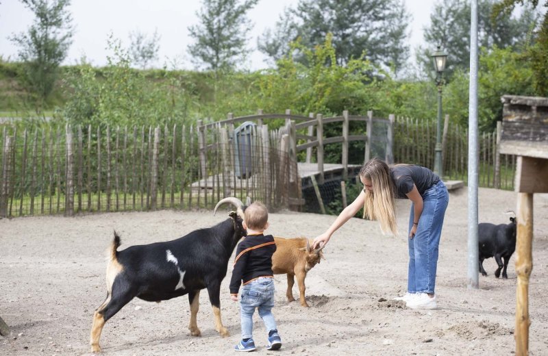 Oostappen vakantieparken marina beach zeeland 6
