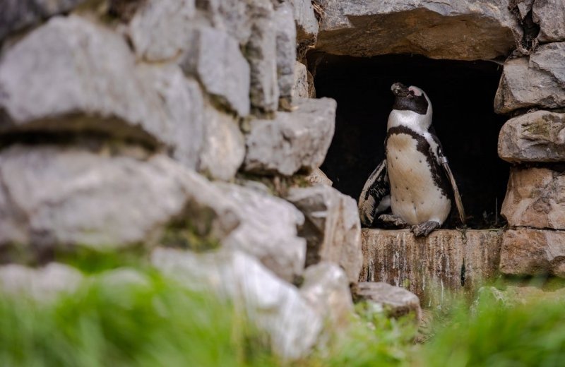 Uitjes voor het hele gezin