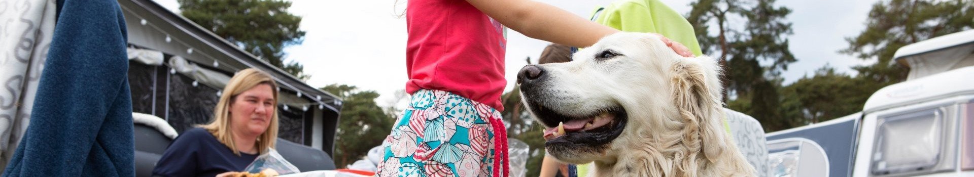 Vakantiepark hond